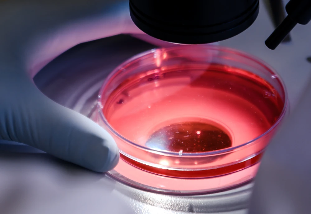 high resolution digital microscope camera